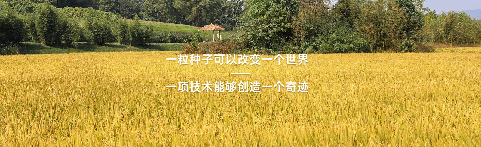 农技成果转化中心